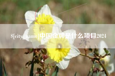 阜宁中国金牌是什么项目2024