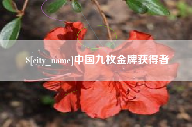 阜宁中国九枚金牌获得者