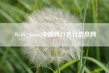 阜宁中国执行执行信息网