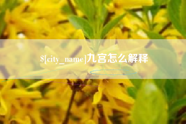 阜宁九宫怎么解释