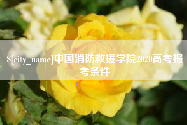 阜宁中国消防救援学院2020高考报考条件