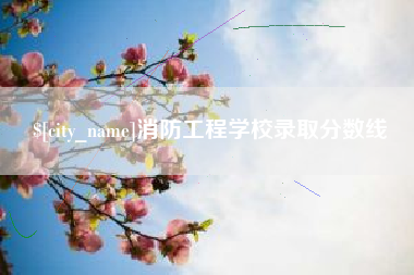 阜宁消防工程学校录取分数线