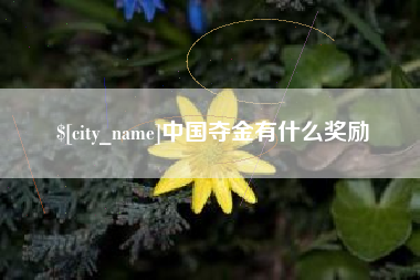 阜宁中国夺金有什么奖励
