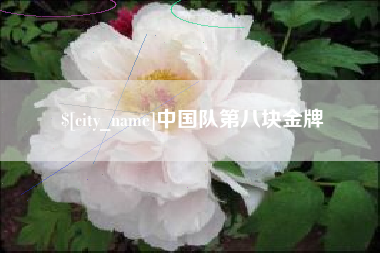 阜宁中国队第八块金牌