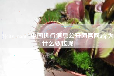阜宁中国执行信息公开网官网app为什么要钱呢