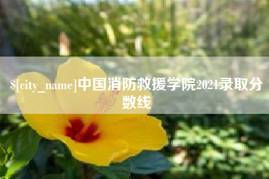 阜宁中国消防救援学院2021录取分数线