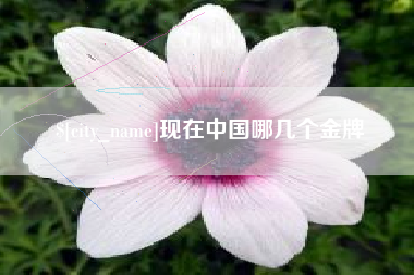 阜宁现在中国哪几个金牌