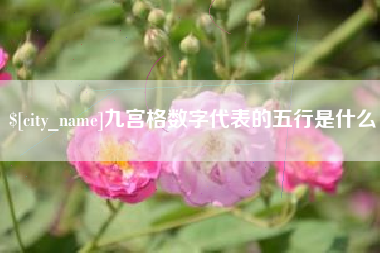 阜宁九宫格数字代表的五行是什么