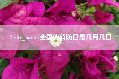 阜宁全国的消防日是几月几日