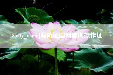 阜宁消防证国网查询操作证
