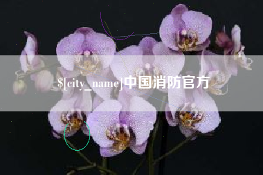 阜宁中国消防官方