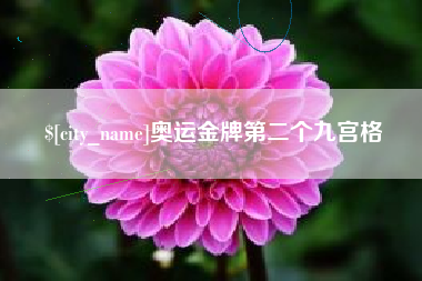 阜宁奥运金牌第二个九宫格
