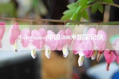 阜宁中国5000米国家记录