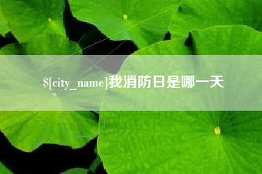 阜宁我消防日是哪一天
