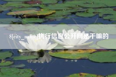 阜宁执行信息公开网是干嘛的