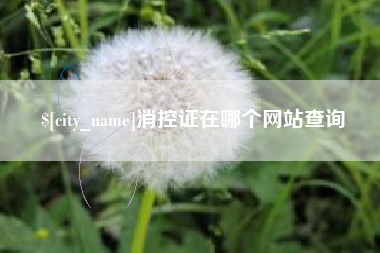 阜宁消控证在哪个网站查询