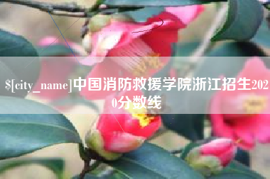 阜宁中国消防救援学院浙江招生2020分数线