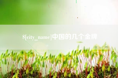 阜宁中国的几个金牌