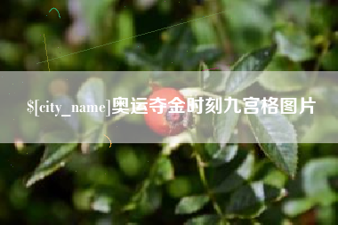 阜宁奥运夺金时刻九宫格图片