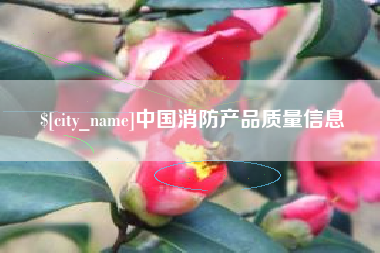 阜宁中国消防产品质量信息