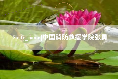 阜宁中国消防救援学院张勇