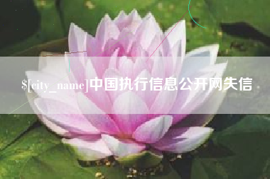 阜宁中国执行信息公开网失信