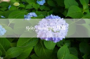阜宁2022九宫