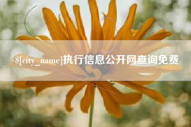 阜宁执行信息公开网查询免费