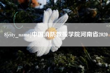 阜宁中国消防救援学院河南省2020